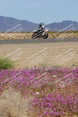 media/Mar-12-2023-SoCal Trackdays (Sun) [[d4c8249724]]/Turn 15 Inside Bloom (130pm)/